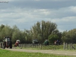 ws 277